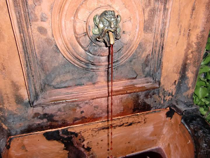 c0072801_246763.jpg