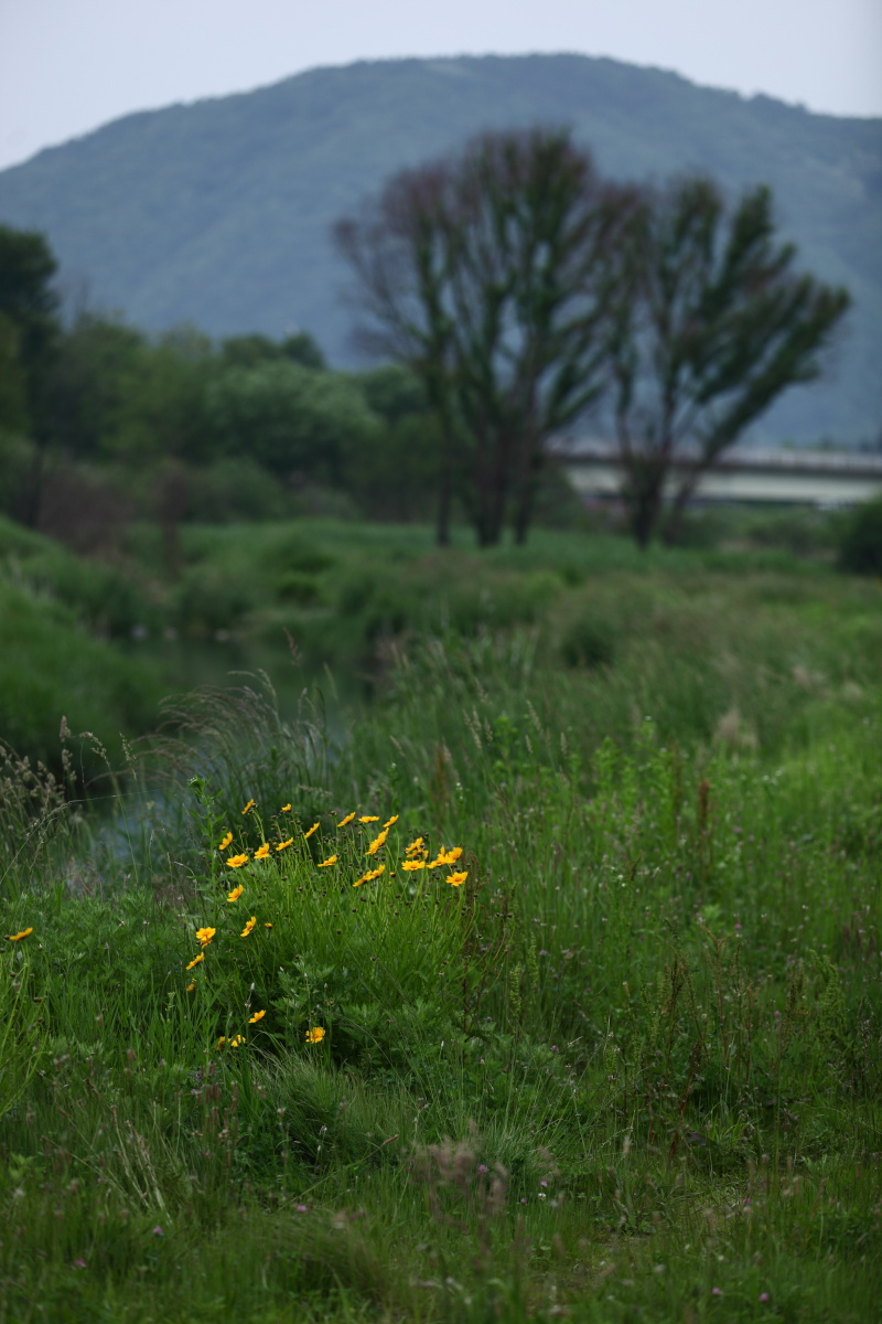 a0155104_1001268.jpg