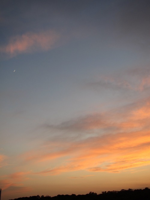 c0120817_75599.jpg