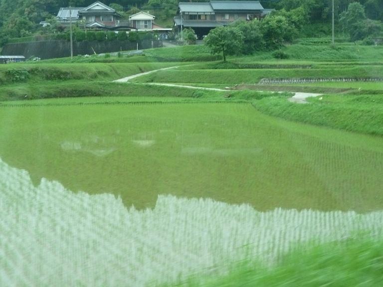 本格的な田植えの季節です。_e0142729_14223411.jpg