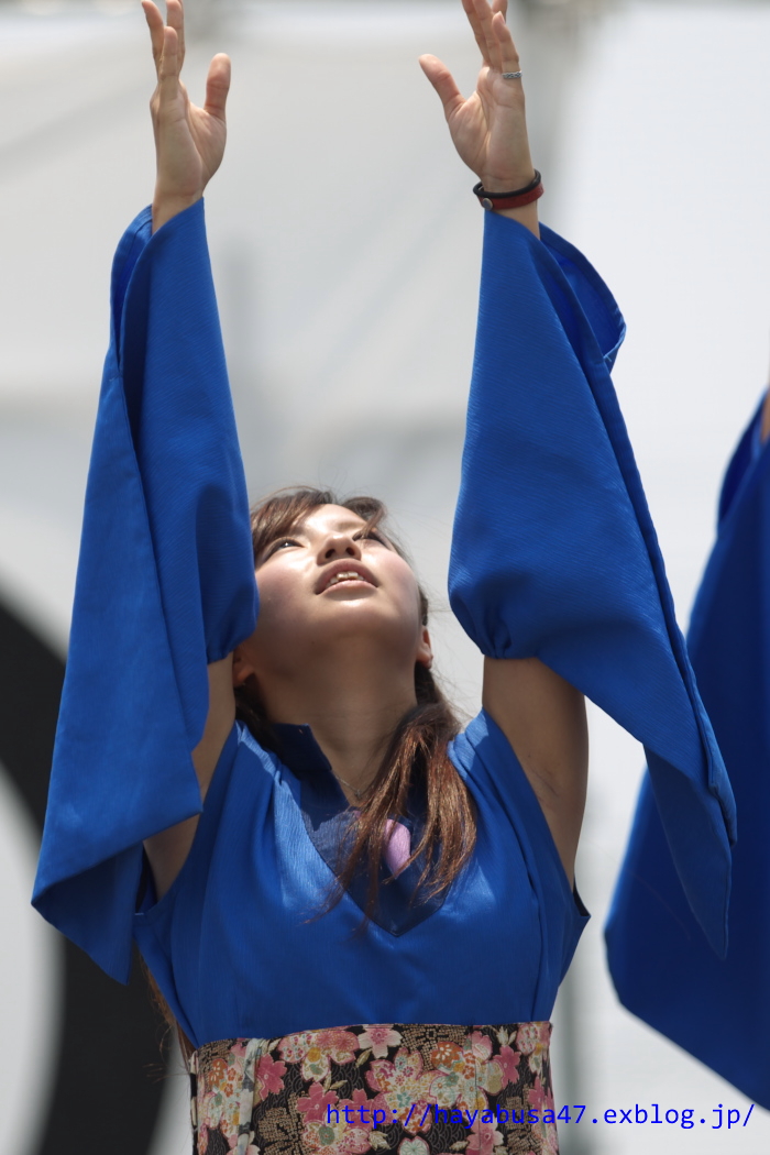 第８回　犬山踊芸祭 vol.8_a0095531_21203351.jpg