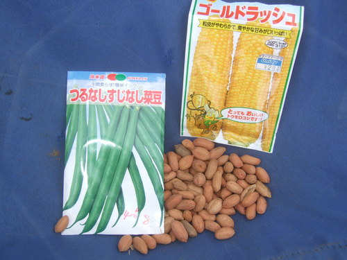 雨で急成長の野菜..._b0137932_6584784.jpg