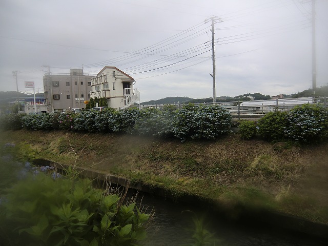 a0006033_16184788.jpg