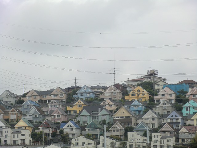 a0006033_1619141.jpg