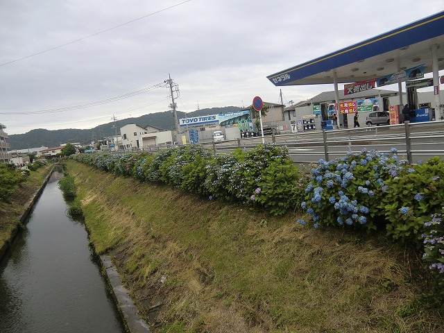 a0006033_16191412.jpg