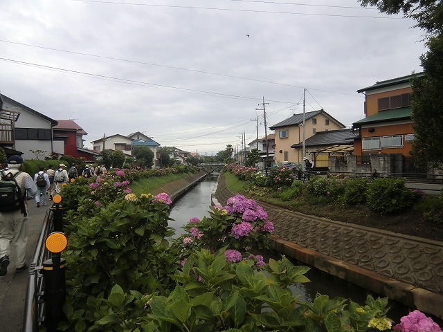 a0006033_16193443.jpg
