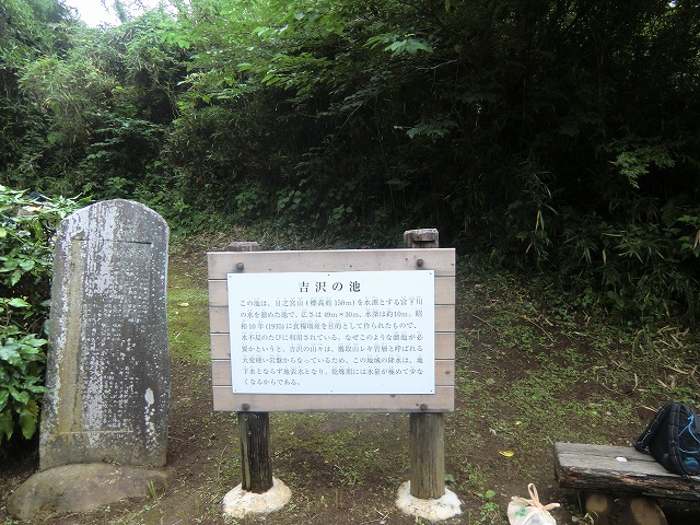 a0006033_1620296.jpg