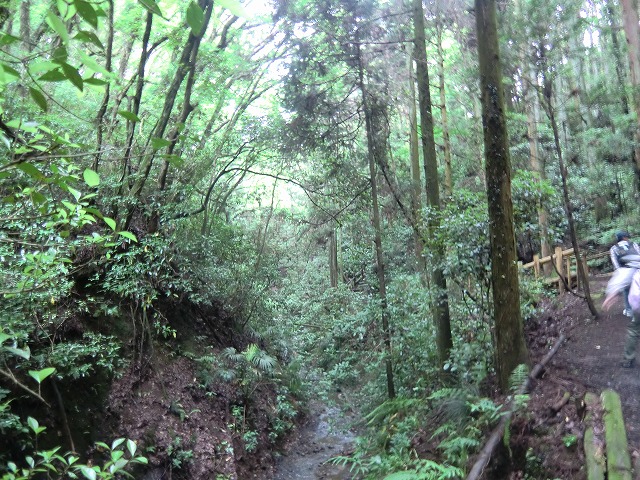 a0006033_16204177.jpg
