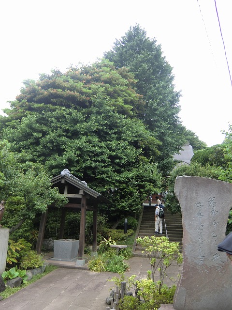 a0006033_162065.jpg