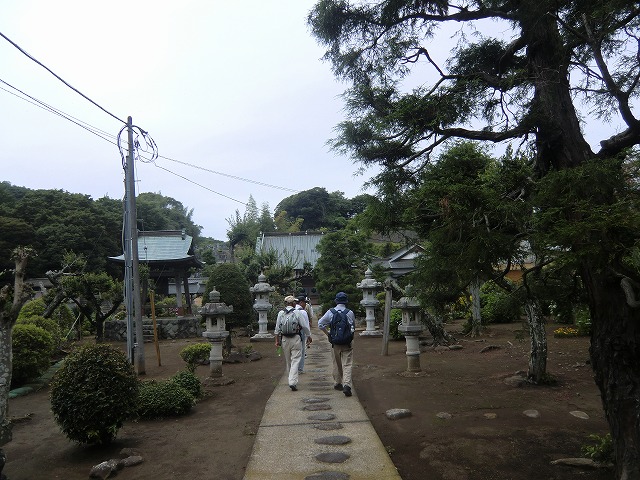 a0006033_16211997.jpg