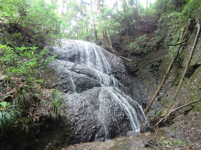 a0006033_1621423.jpg
