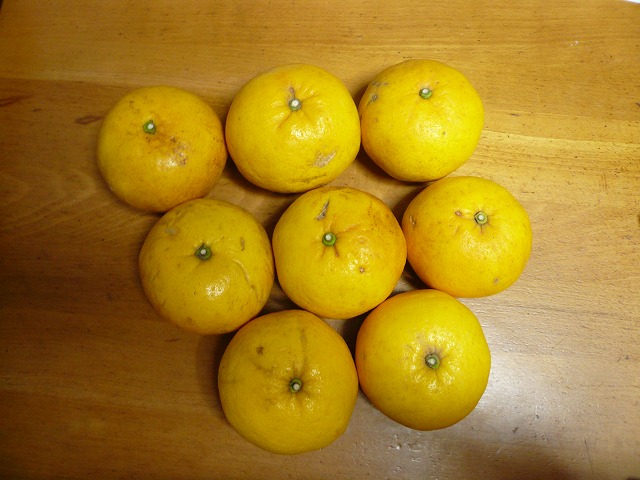 a0006033_1815986.jpg