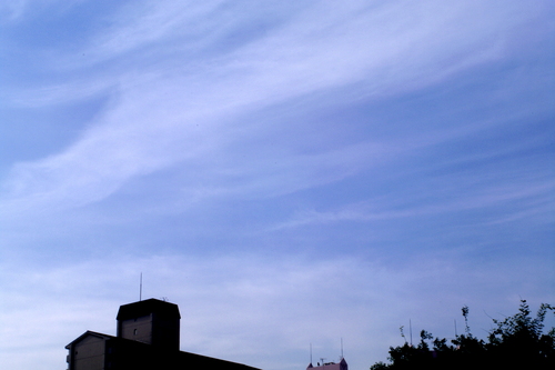 d0185744_1622565.jpg