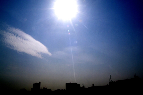 d0185744_16362127.jpg