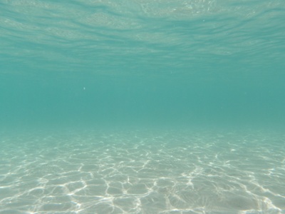 6月 18日 続・海です。_b0158746_1719334.jpg