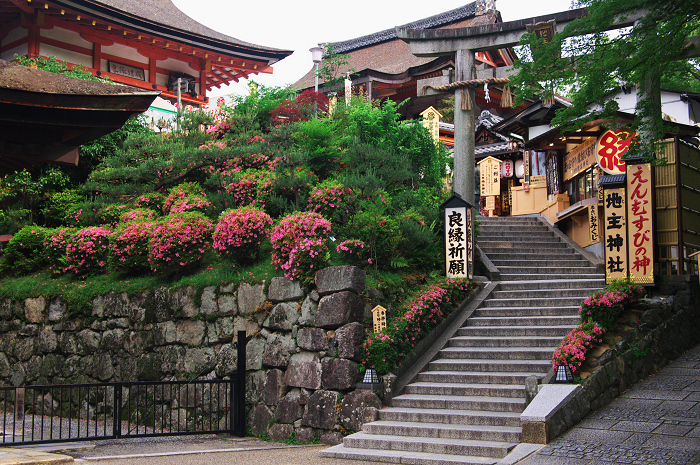 サツキ咲く清水寺_f0155048_19521582.jpg