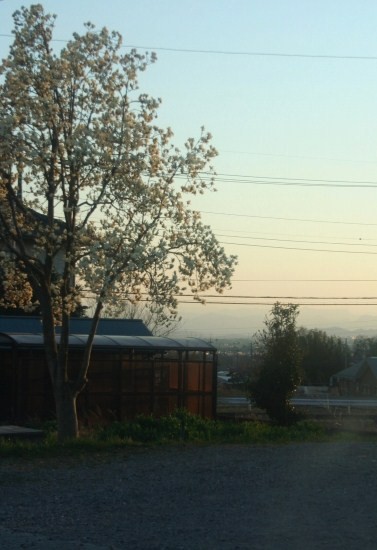 e0126350_1827512.jpg