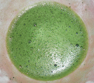 a0053063_0282824.jpg
