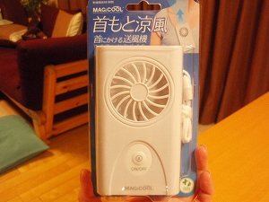 c0135363_2364023.jpg