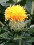 b0081270_19245287.jpg