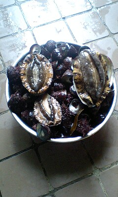 e0204372_17444592.jpg