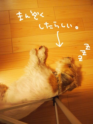 まるまるもりもり r まるまるもりもり r