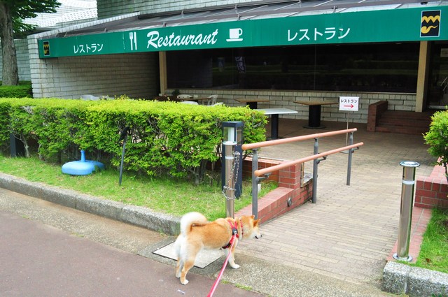 その熱い視線に負けた!_a0126590_0213167.jpg
