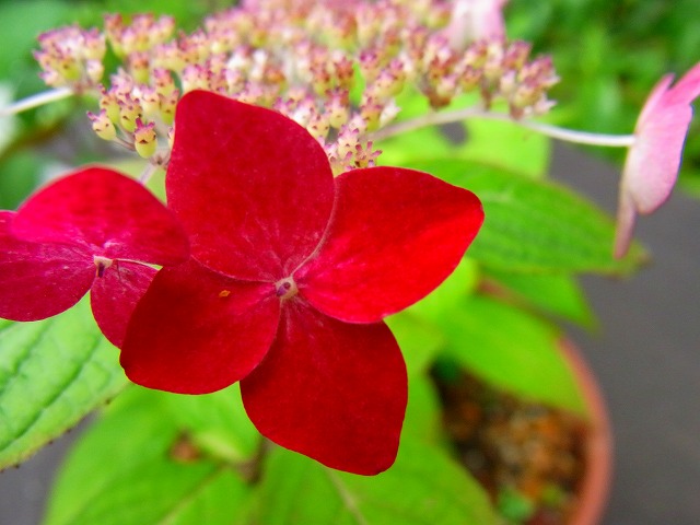 a0180796_23495835.jpg