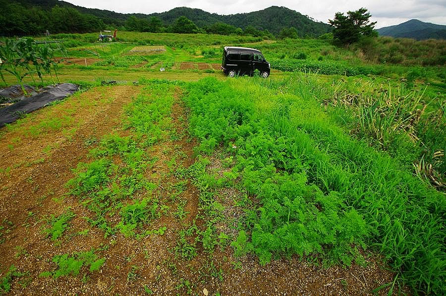 自然の恵み　大地からの贈り物　_d0169599_10373572.jpg