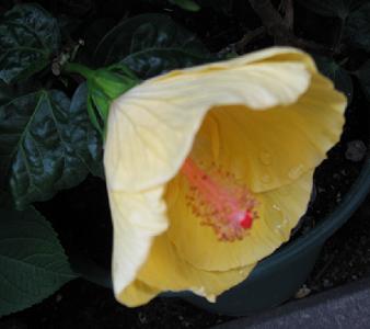 c0108801_1014513.jpg