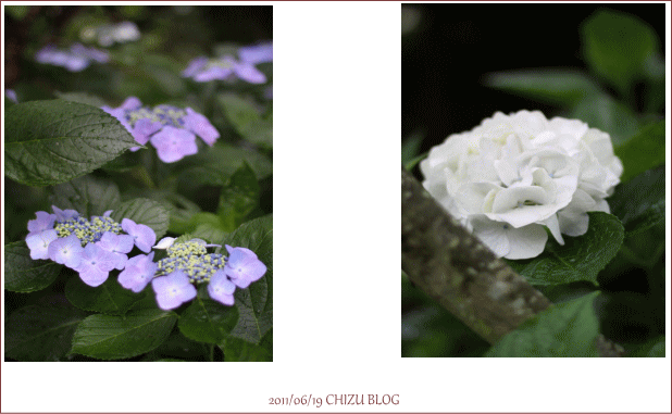 c0017311_226012.gif