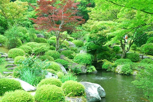 哀しいかな、未だに思い浮かべるのは「城之内 早苗」。_c0116714_2335255.jpg