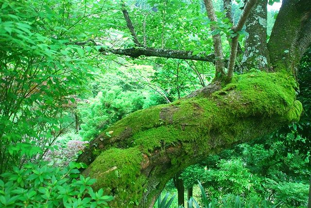 哀しいかな、未だに思い浮かべるのは「城之内 早苗」。_c0116714_2342397.jpg