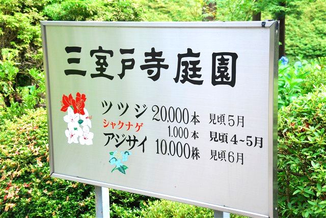 哀しいかな、未だに思い浮かべるのは「城之内 早苗」。_c0116714_2345359.jpg