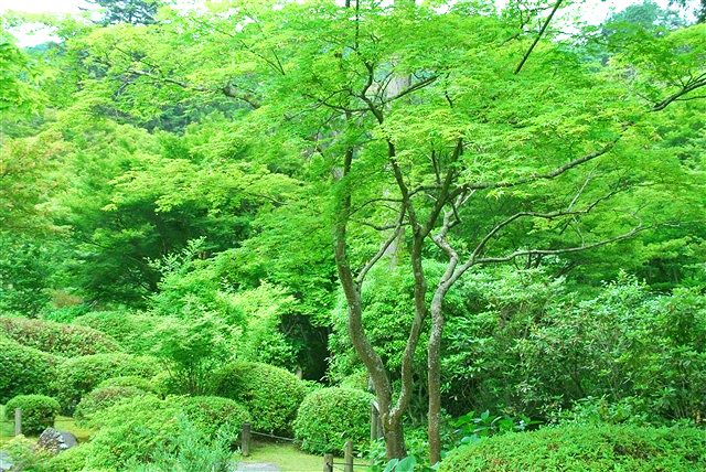 哀しいかな、未だに思い浮かべるのは「城之内 早苗」。_c0116714_234914.jpg