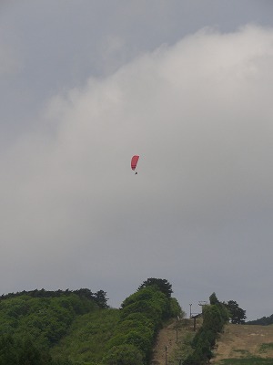 b0105416_22322855.jpg