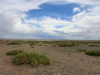 d0074518_8474961.jpg