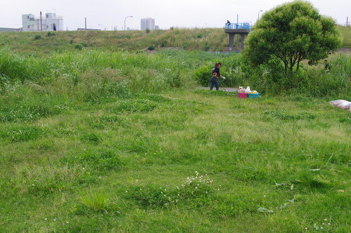 a0191121_19183324.jpg