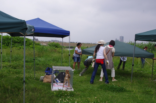 鉄丸。次回品川にも参加します。_a0191121_2220530.jpg