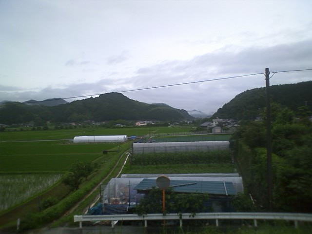 雨の中、散歩を兼ねて‥‥‥。_c0117028_20481074.jpg