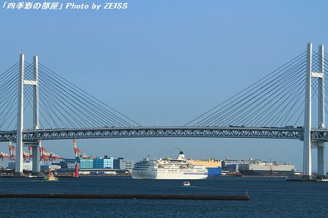 a0195032_8242666.jpg