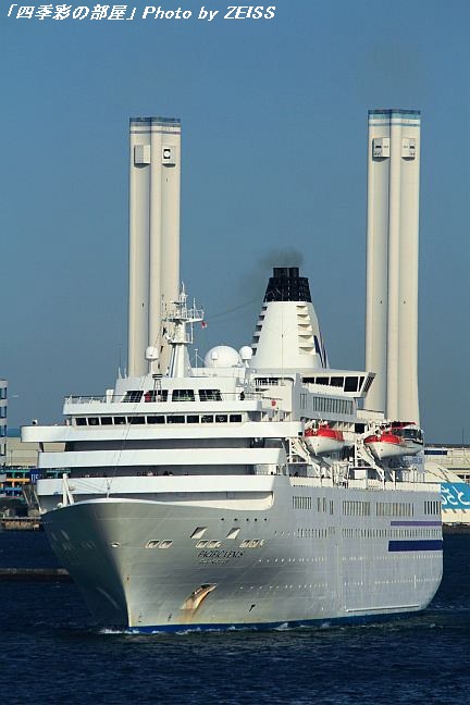 a0195032_8243069.jpg