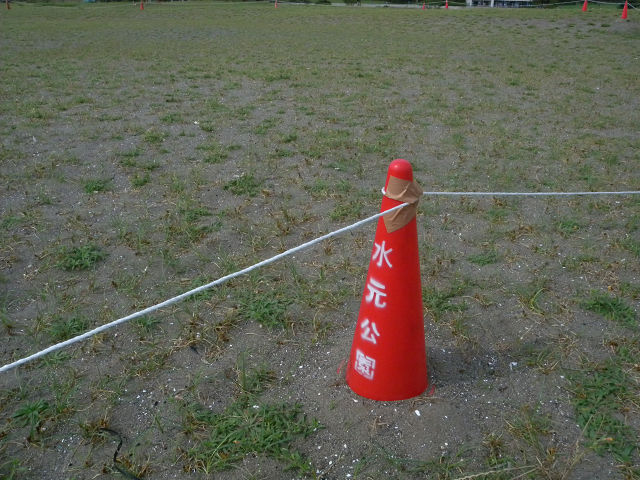 魚をつついていたウミネコ、卵を抱いていたコアジサシ_e0089232_2115744.jpg