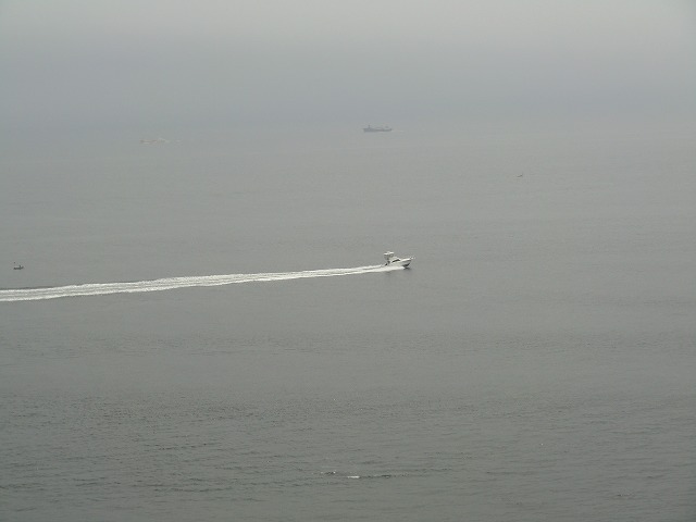 a0006033_20132896.jpg