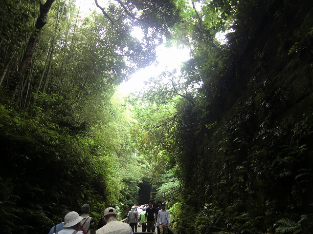 a0006033_2014315.jpg