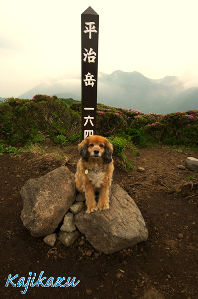 a0166940_2143921.jpg