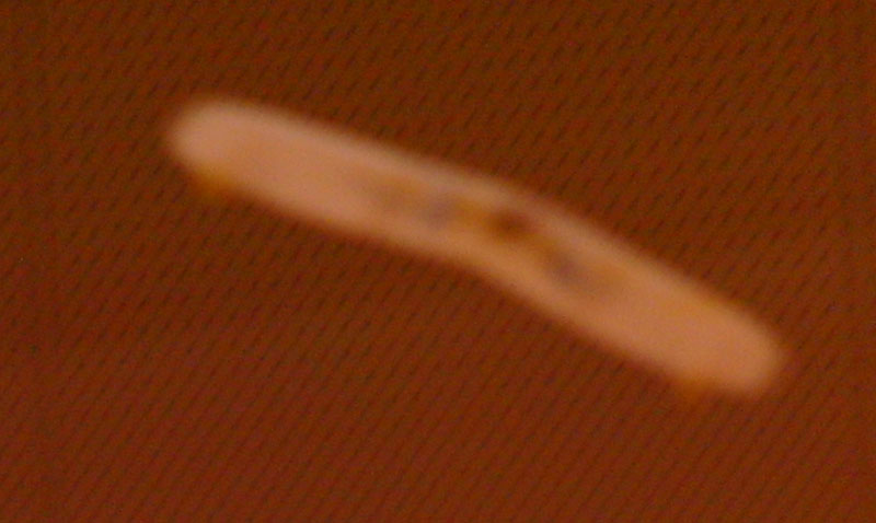 湘南で飛行機を飛ばす 2011/06/18 SSFC飛行会_d0067943_134002.jpg