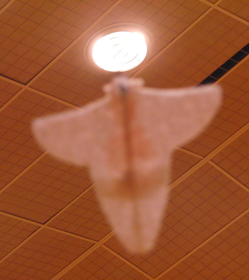 湘南で飛行機を飛ばす 2011/06/18 SSFC飛行会_d0067943_13405732.jpg
