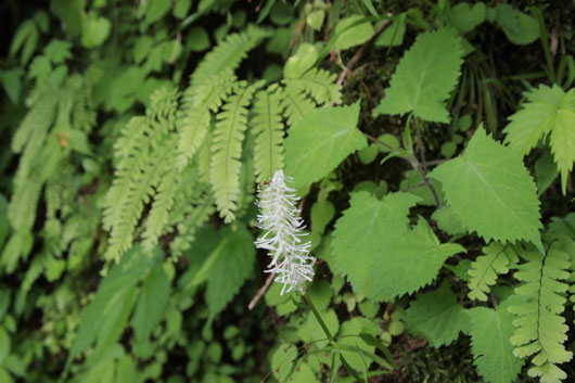 c0093046_9302681.jpg