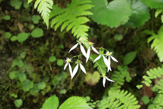 c0093046_930317.jpg